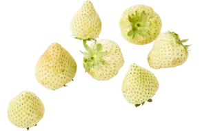 Aardbeien ONRIJP 500gr